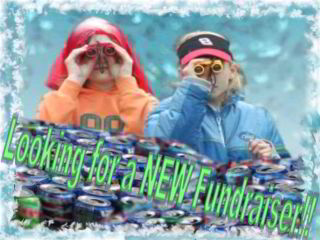 Looking for a NEW Fundraiser